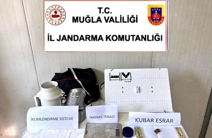 Evinde kenevir yetiştiren şüpheli yakalandı …