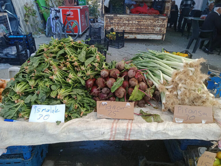 İsmalak, Mancar, Piransa …