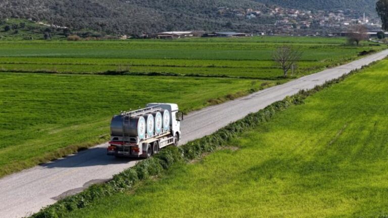 Dünya Süt Günü’nde Üreticiye ve Süte Vurgu: “Her Damla Süt Geleceğe Yapılan Yatırımdır”
